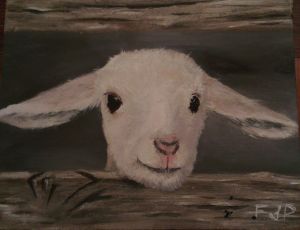 Final lamb painting.