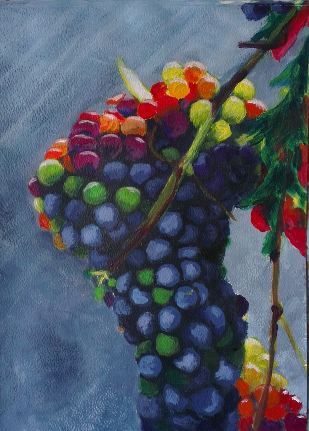 Bunch or grapes